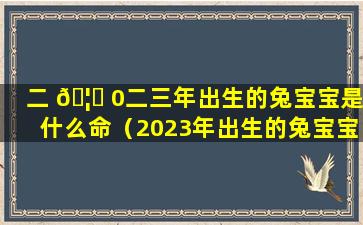 二 🦊 0二三年出生的兔宝宝是什么命（2023年出生的兔宝宝命运怎么样）